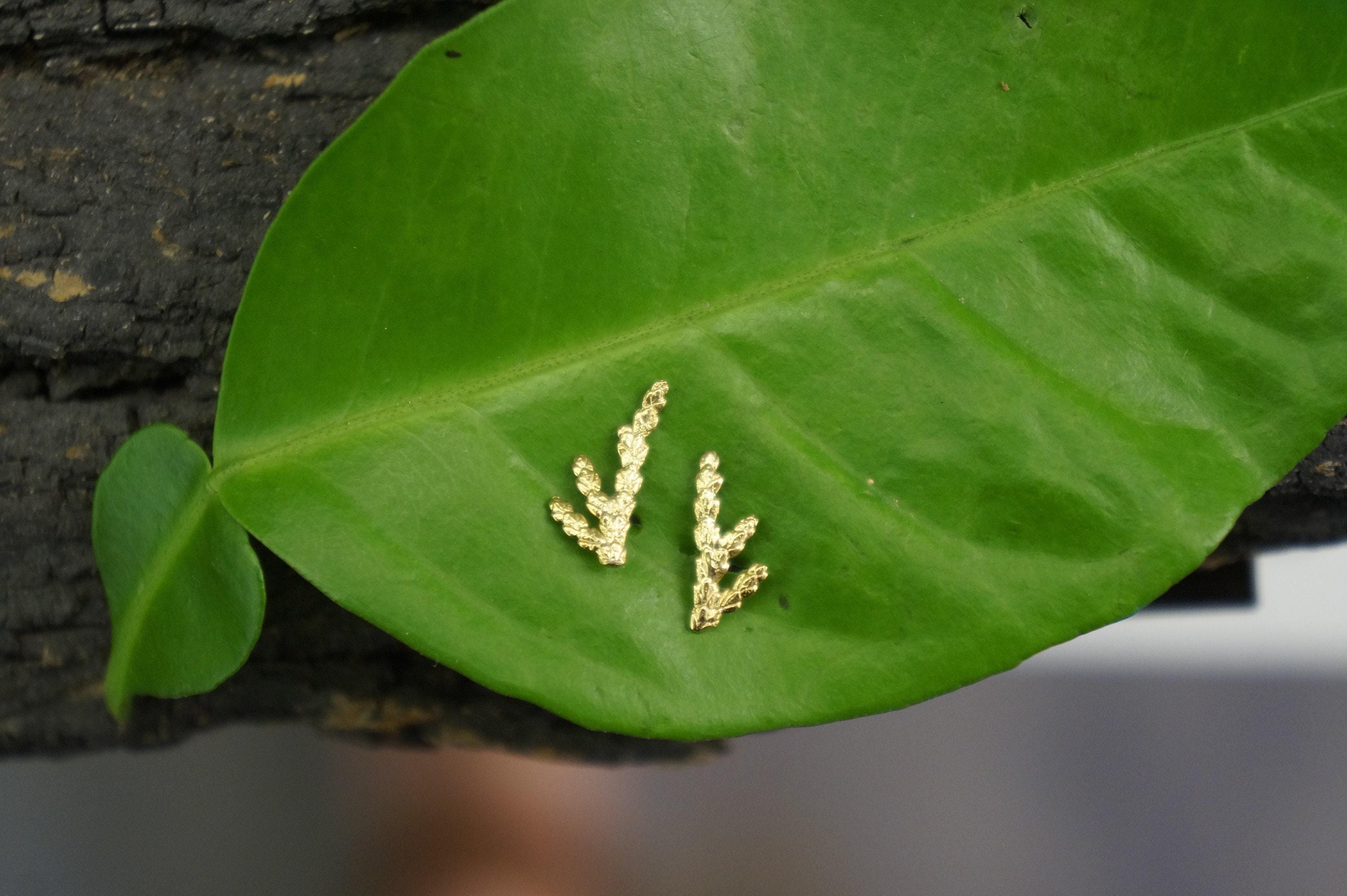 Silver Stud Earrings: Delicate Cypress Leaf - Gold Plated Finish-0