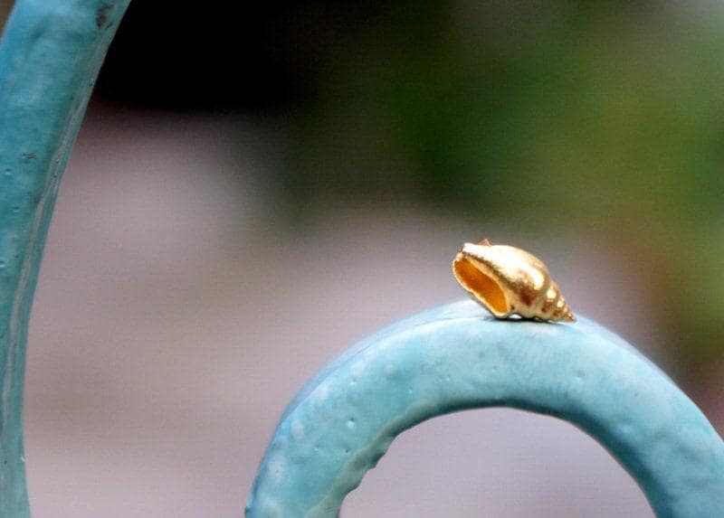 Minimalistic Sea Shell Earrings: 14k Gold on Sterling Silver Studs-3