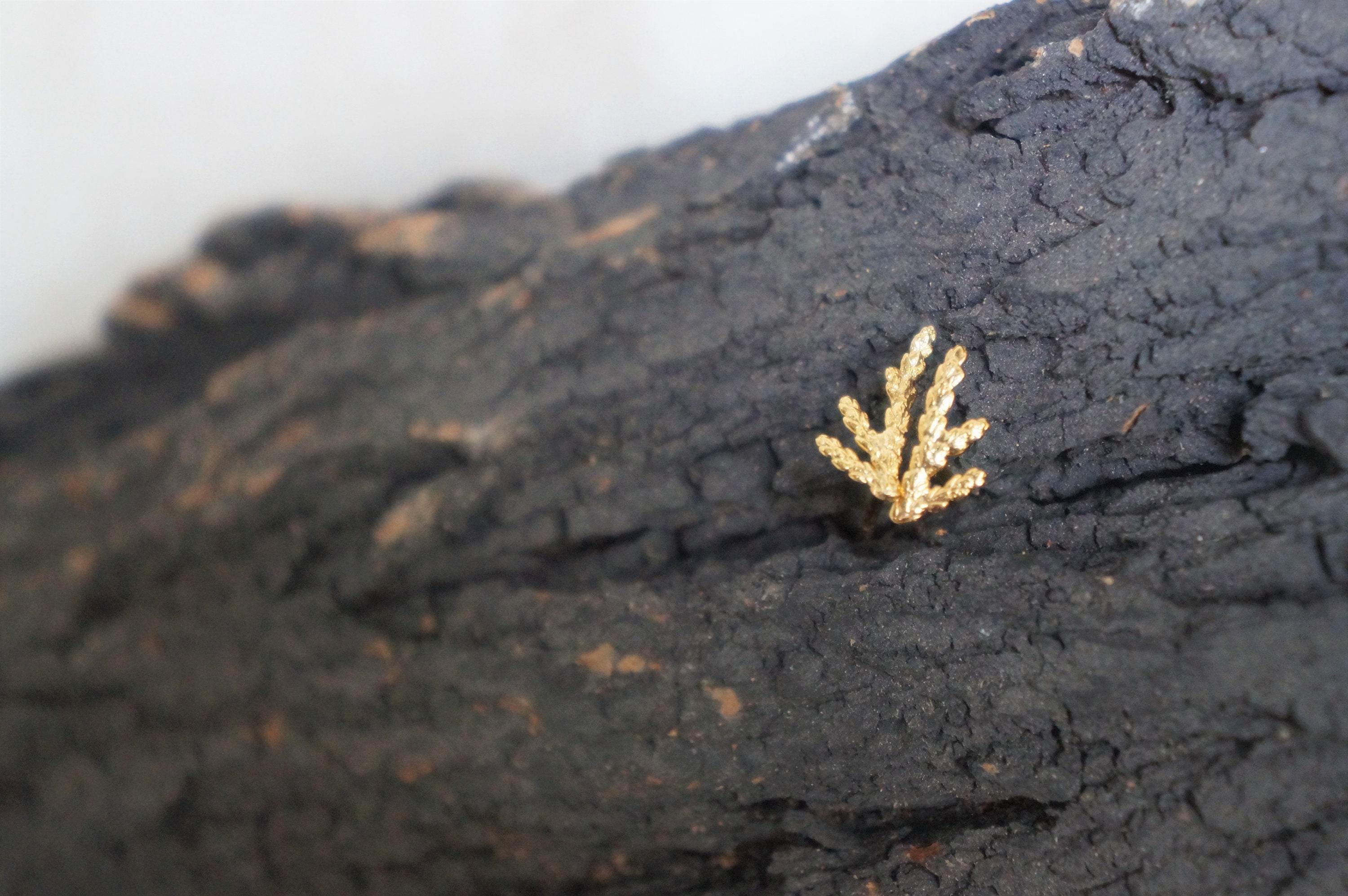 Silver Stud Earrings: Delicate Cypress Leaf - Gold Plated Finish-1
