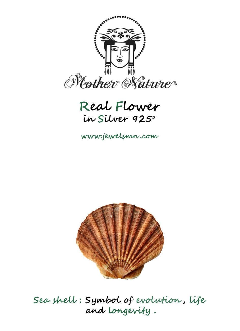 Sea Shell Gold Cuff Bracelet - Summer Inspired, Eco-Friendly-1